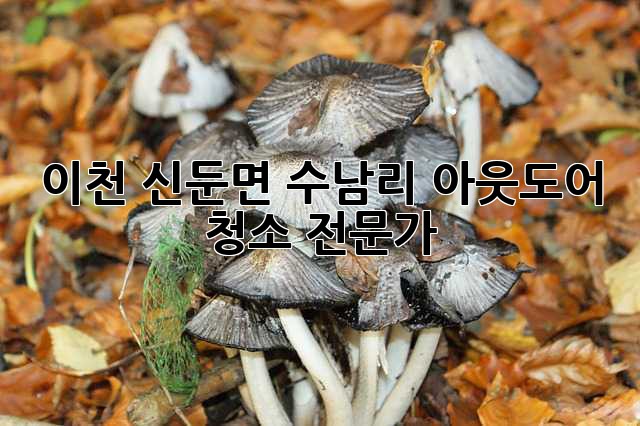 이천 신둔면 수남리 아웃도어 청소 전문가 이천 신둔면 수남리 아웃도어 청소 전문가