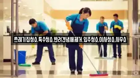 쓰레기집청소.특수청소.반려견냄새제거.입주청소.이사청소.사무소