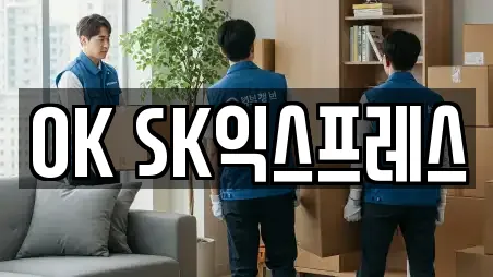 OK SK익스프레스