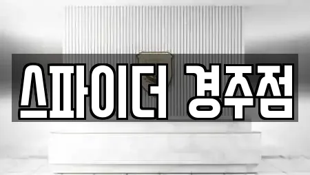 스파이더 경주점