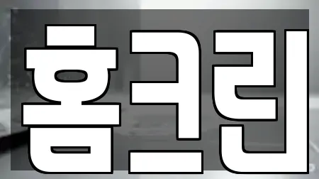 홈크린