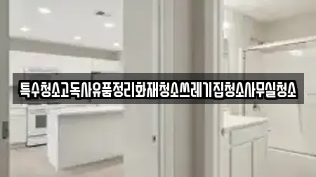 특수청소고독사유품정리화재청소쓰레기집청소사무실청소