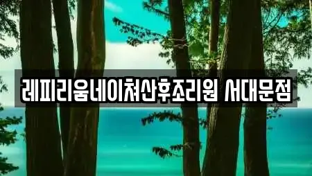 레피리움네이쳐산후조리원 서대문점