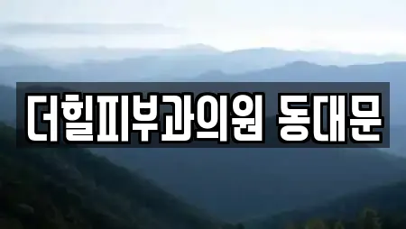 더힐피부과의원 동대문