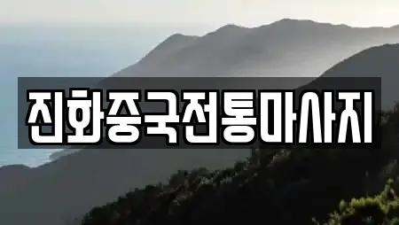 진화중국전통마사지