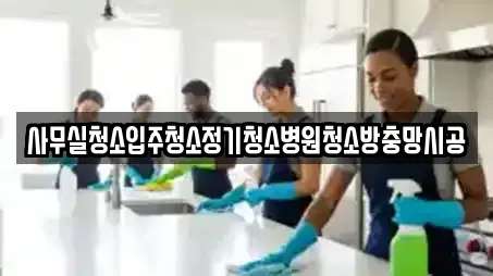 사무실청소입주청소정기청소병원청소방충망시공