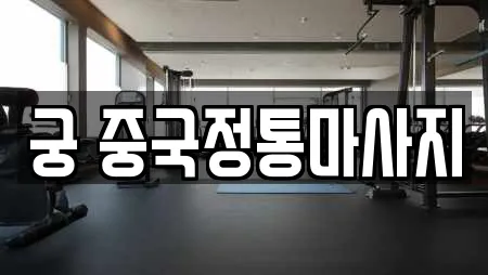 궁 중국정통마사지