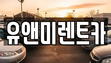 유앤미렌트카