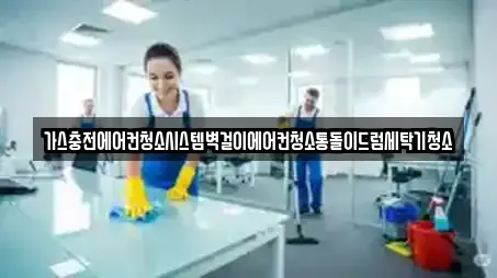 가스충전에어컨청소시스템벽걸이에어컨청소통돌이드럼세탁기청소