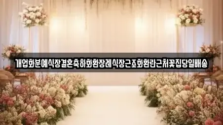 개업화분예식장결혼축하화환장례식장근조화환란근처꽃집당일배송