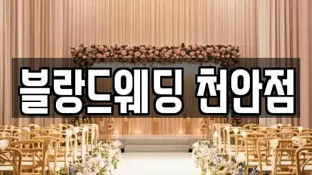 블랑드웨딩 천안점