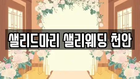 샐리드마리 샐리웨딩 천안