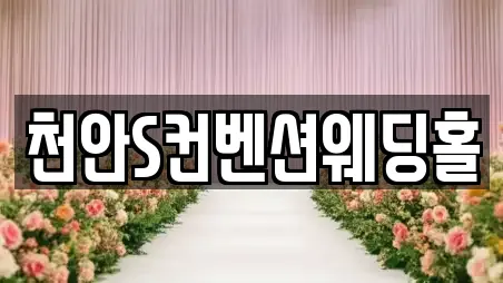 천안S컨벤션웨딩홀