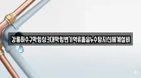 강릉하수구막힘싱크대막힘변기역류뚫음누수탐지신세계설비