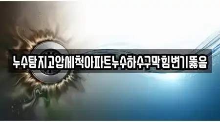 누수탐지고압세척아파트누수하수구막힘변기뚫음