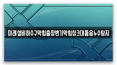 미래설비하수구막힘출장변기막힘싱크대뚫음누수탐지