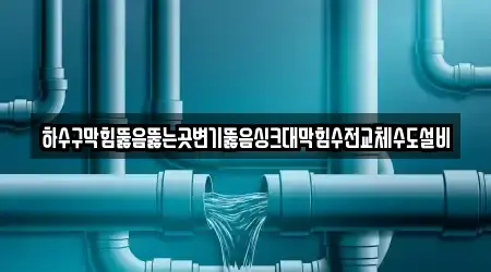 경기도 광주 남종면에서 변기 뚫음 3곳을 확인하기