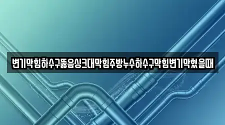 변기막힘하수구뚫음싱크대막힘주방누수하수구막힘변기막혔을때