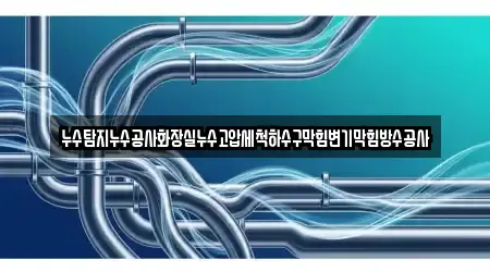 누수탐지누수공사화장실누수고압세척하수구막힘변기막힘방수공사