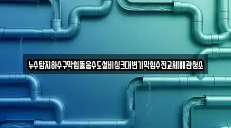 누수탐지하수구막힘뚫음수도설비싱크대변기막힘수전교체배관청소