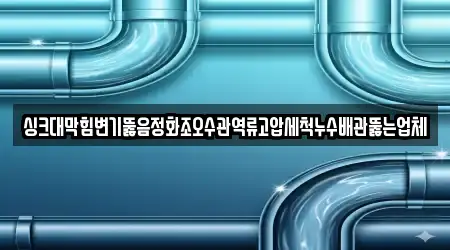 싱크대막힘변기뚫음정화조오수관역류고압세척누수배관뚫는업체