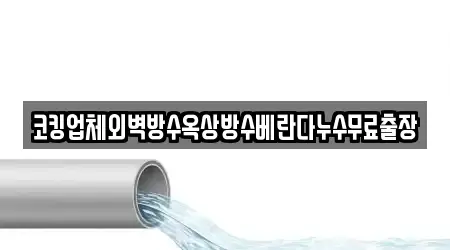 코킹업체외벽방수옥상방수베란다누수무료출장