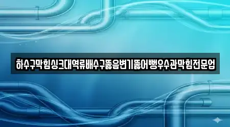 하수구막힘싱크대역류배수구뚫음변기뚫어뻥우수관막힘전문업