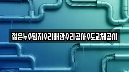 젊은누수탐지수리배관수리공사수도교체공사