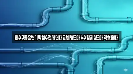 하수구뚫음변기막힘수전세면대교체씽크대누수탐지싱크대막혔을때
