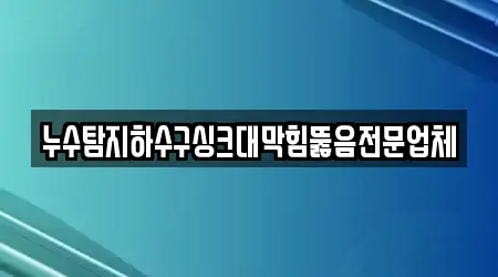 누수탐지하수구싱크대막힘뚫음전문업체