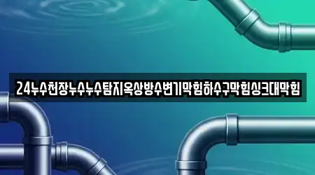 24누수천장누수누수탐지옥상방수변기막힘하수구막힘싱크대막힘