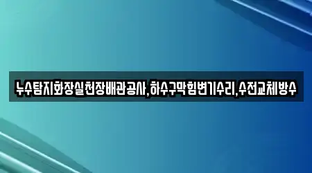 누수탐지화장실천장배관공사,하수구막힘변기수리,수전교체방수