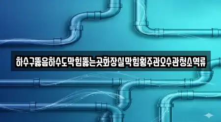 하수구뚫음하수도막힘뚫는곳화장실막힘횡주관오수관청소역류