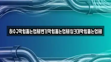 하수구막힘뚫는업체변기막힘뚫는업체싱크대막힘뚫는업체