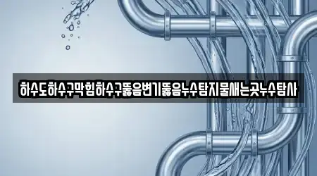 하수도하수구막힘하수구뚫음변기뚫음누수탐지물새는곳누수탐사