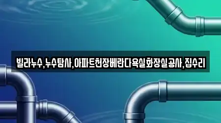빌라누수,누수탐사,아파트천장베란다욕실화장실공사,집수리
