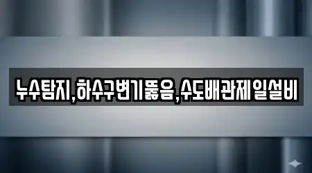 누수탐지,하수구변기뚫음,수도배관제일설비