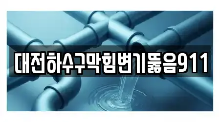변기뚫음,누수탐지,하수구뚫음,싱크대뚫음,변기막힘 17 괴정동 업체 지도