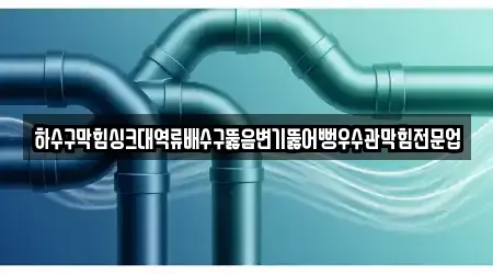 하수구막힘싱크대역류배수구뚫음변기뚫어뻥우수관막힘전문업