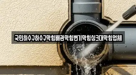 국민하수구하수구막힘배관막힘변기막힘싱크대막힘업체