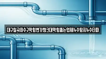 대구칠곡하수구막힘변기씽크대막힘뚫는업체누수탐지누수타파
