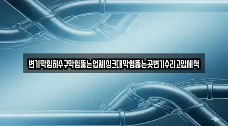 변기막힘하수구막힘뚫는업체싱크대막힘뚫는곳변기수리고압세척