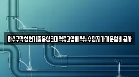 하수구막힘변기뚫음싱크대역류고압세척누수탐지가까운설비공사