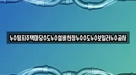 누수탐지주택마당수도누수설비천장누수수도누수보일러누수공사