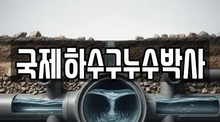 국제하수구누수박사