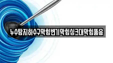누수탐지하수구막힘변기막힘싱크대막힘뚫음