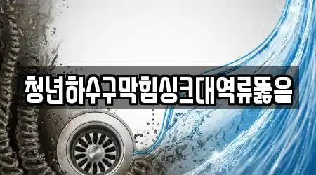 청년하수구막힘싱크대역류뚫음