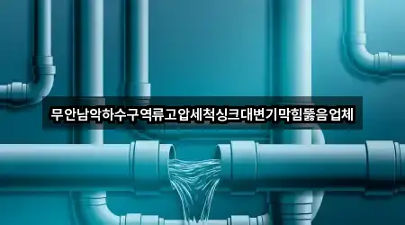 무안남악하수구역류고압세척싱크대변기막힘뚫음업체