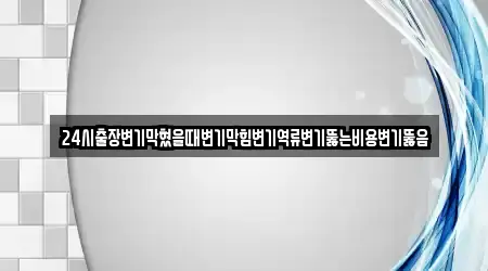 24시출장변기막혔을때변기막힘변기역류변기뚫는비용변기뚫음