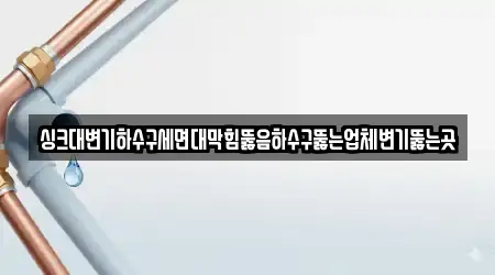 싱크대변기하수구세면대막힘뚫음하수구뚫는업체변기뚫는곳